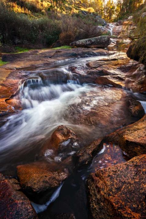 About Dwellingup Adventures & Waypoints Cafe