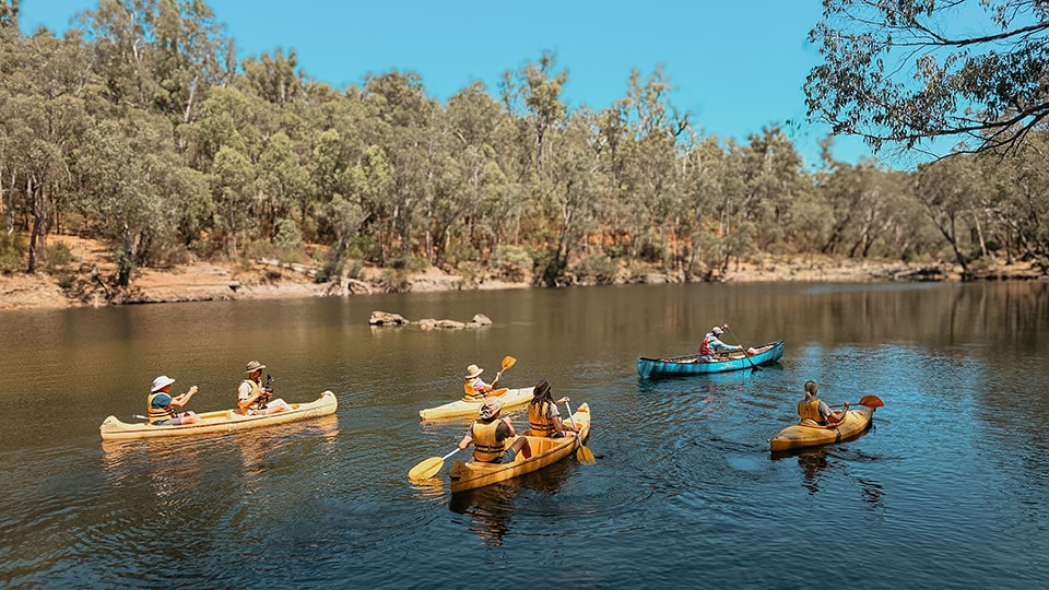 Decades of Experience