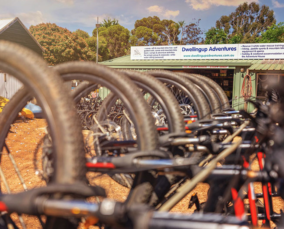 DIY & On-the-Spot Repairs