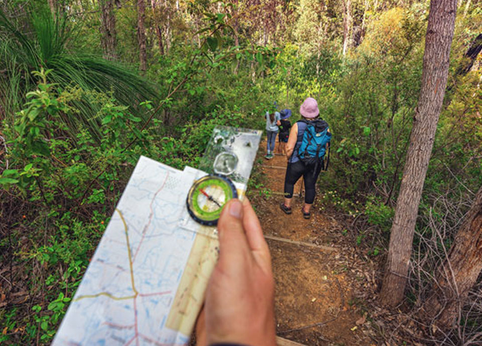 Hike Through Nature’s Heart