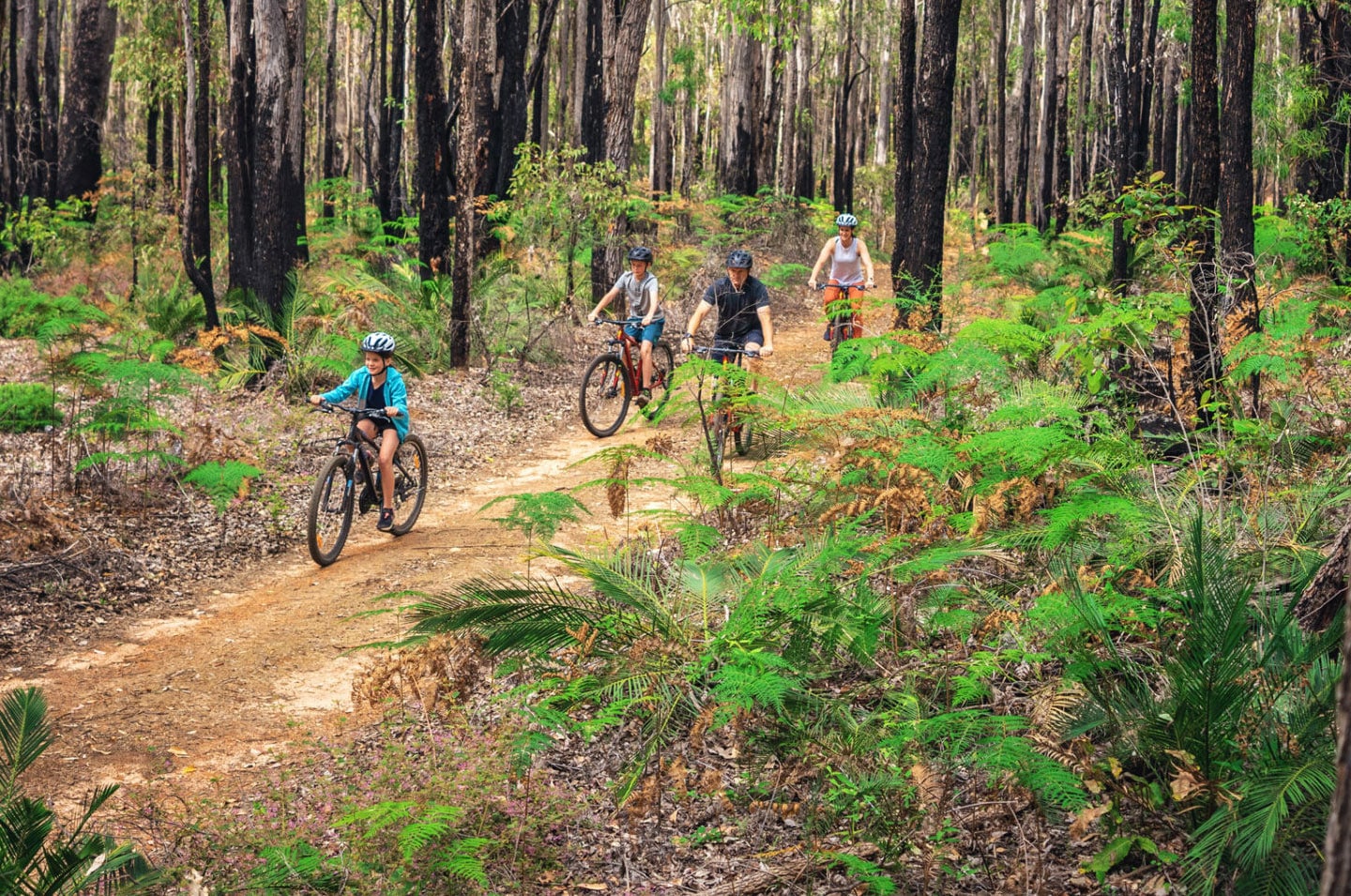 Discover Nature Like Never Before