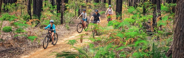 Dwellingup Adventures and Waypoints Café