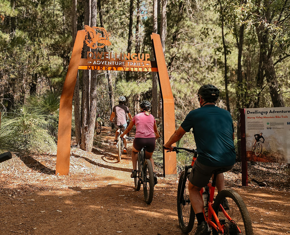 What Makes Us Different