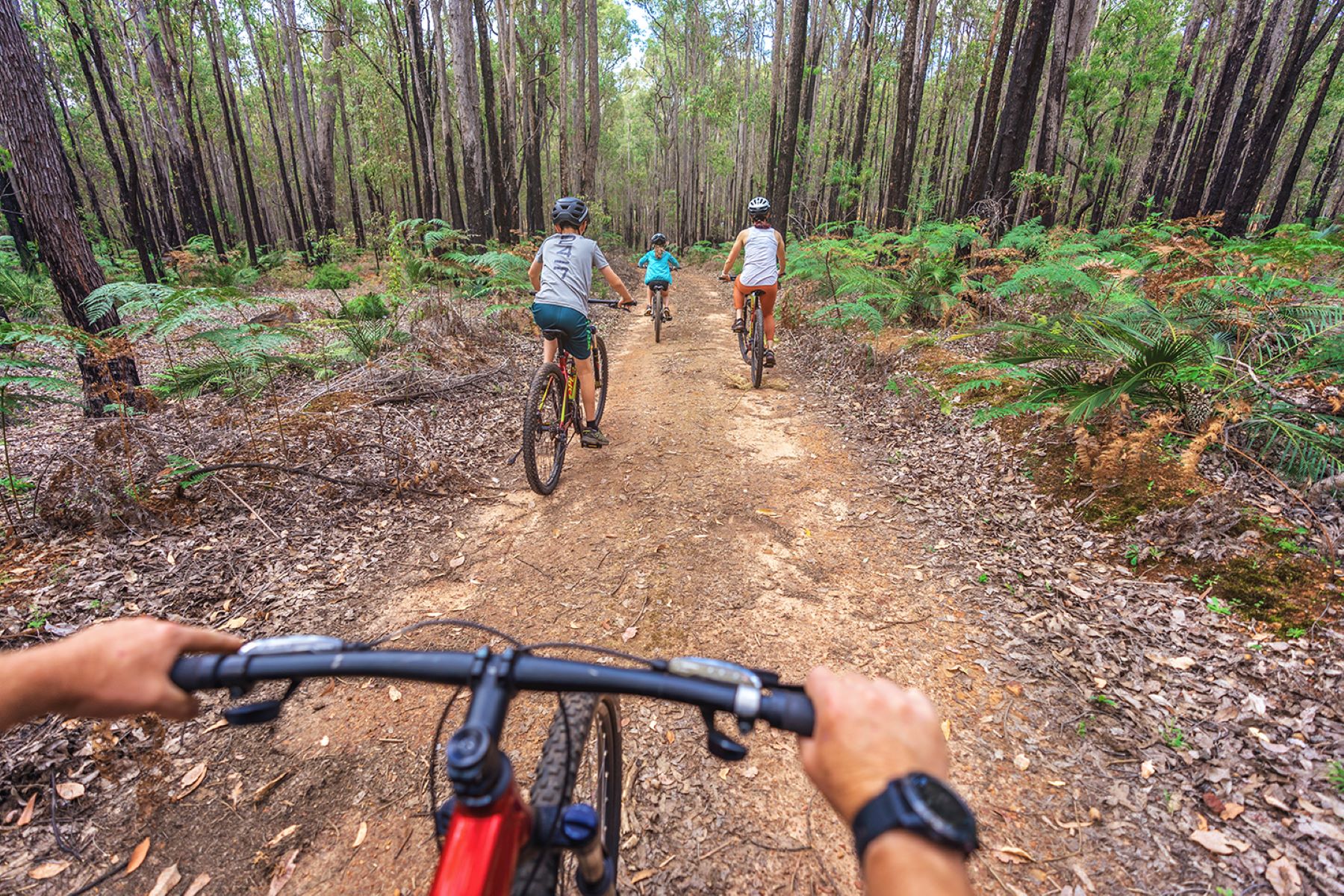 Point-of-view of rider following group along gravel track on Munda Biddi