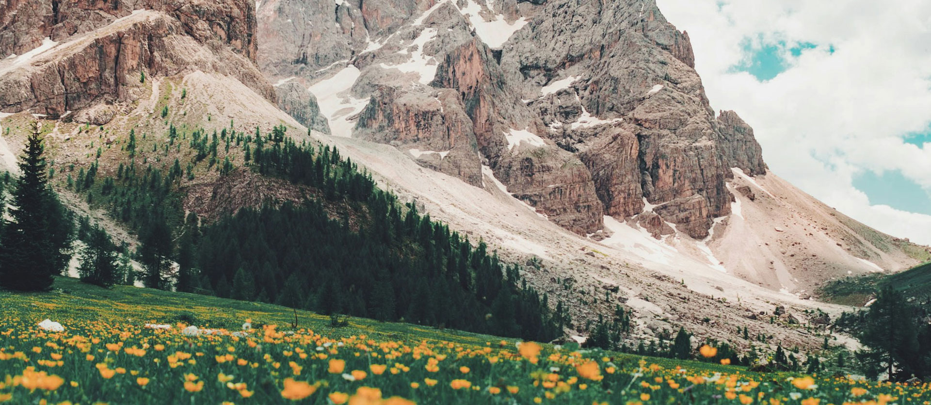 Explore Our Latest Posts