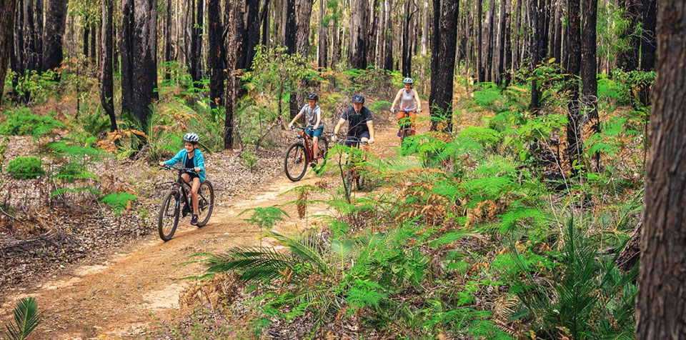 Munda Biddi Explorer Tour Dwelllingup