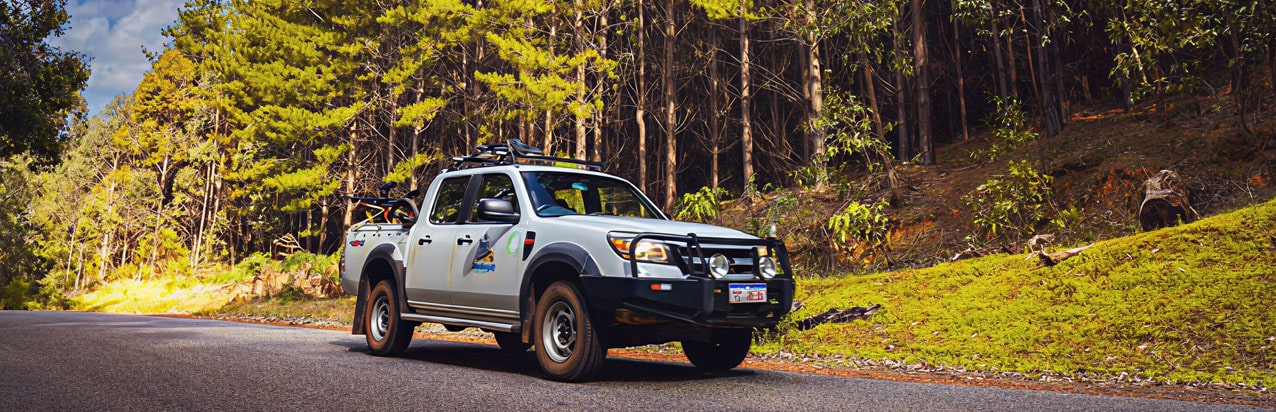 Impact by the Numbers