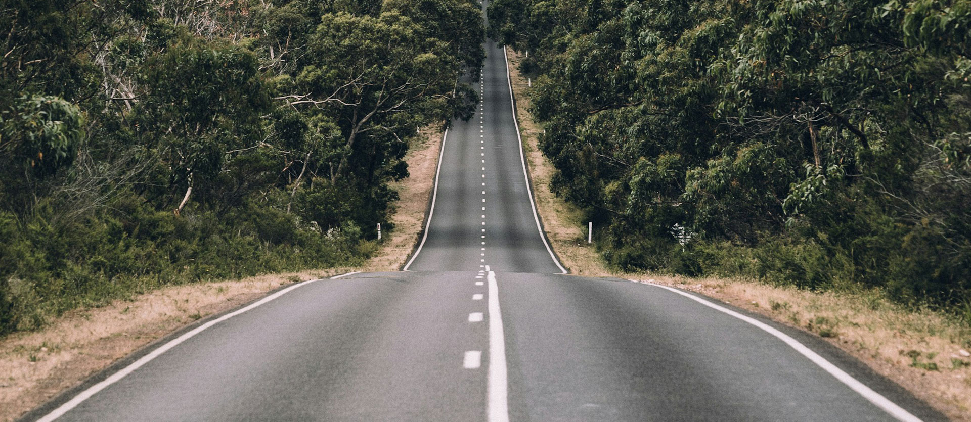 Sustainability & Community