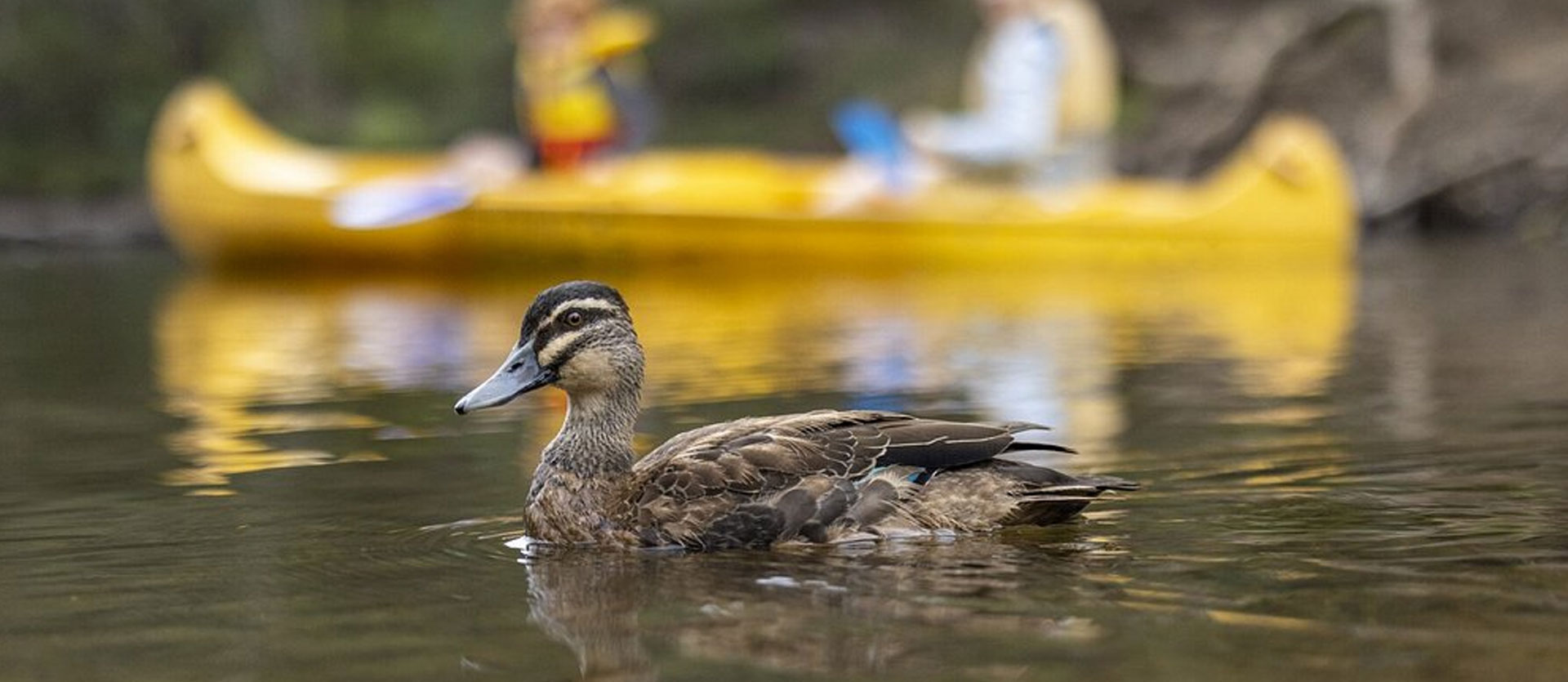 Outdoor Adventures Made Easy