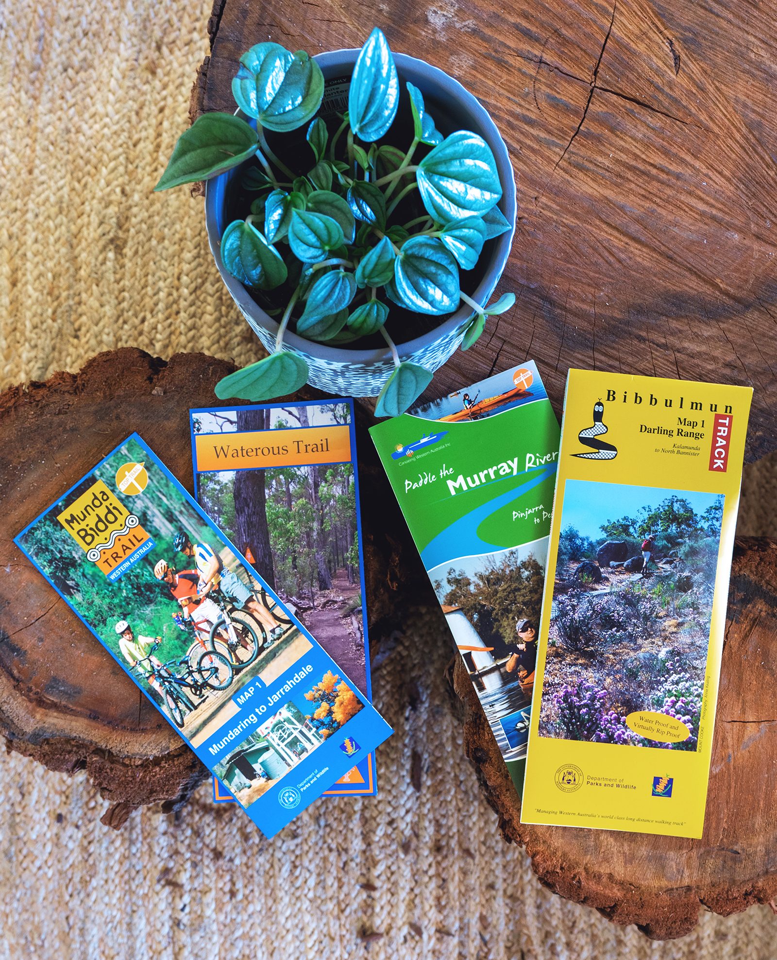 Local Dwellingup trail maps and brochures on timber table