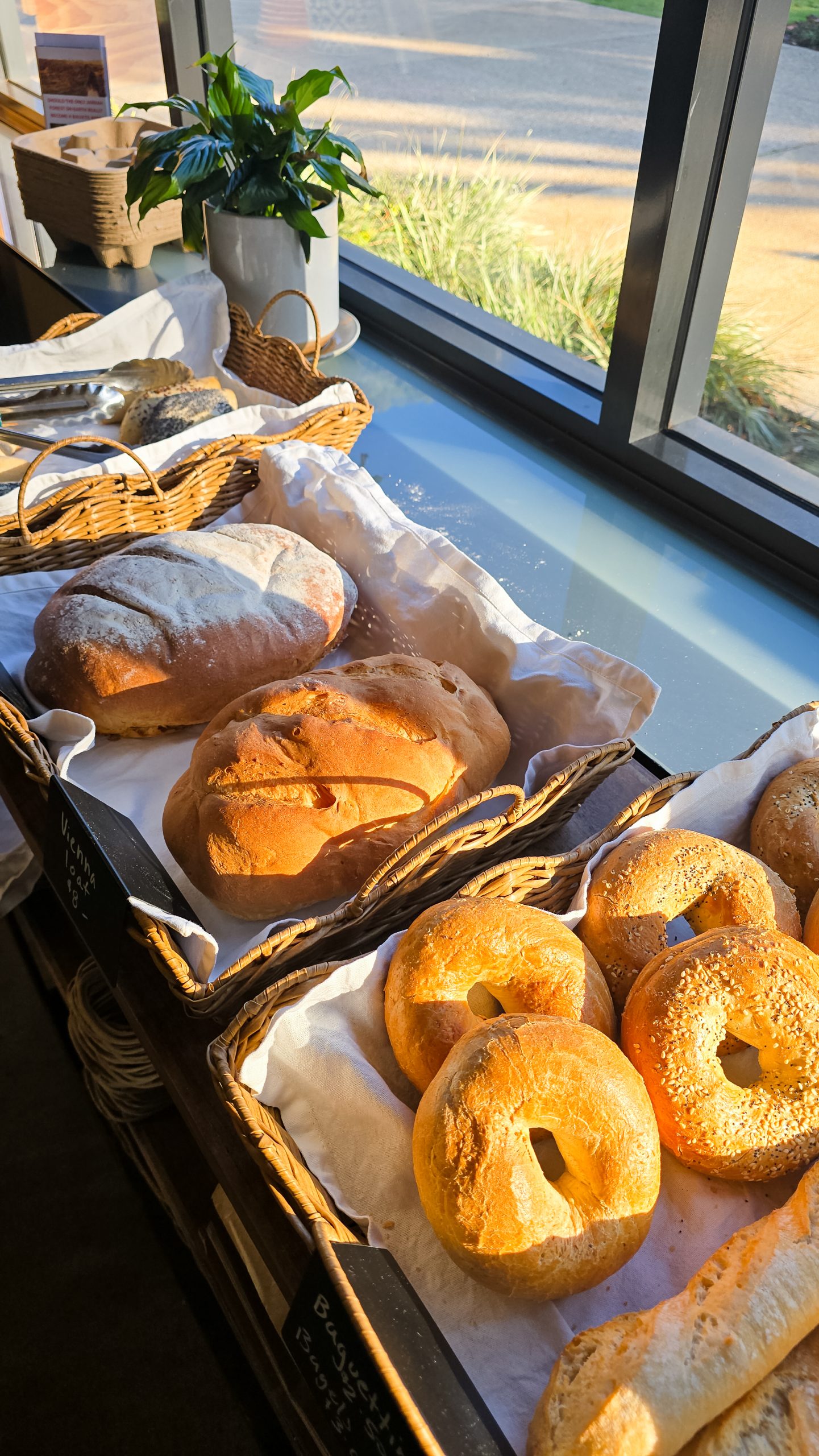 Freshly baked bagels on display at Dwellingup cafe