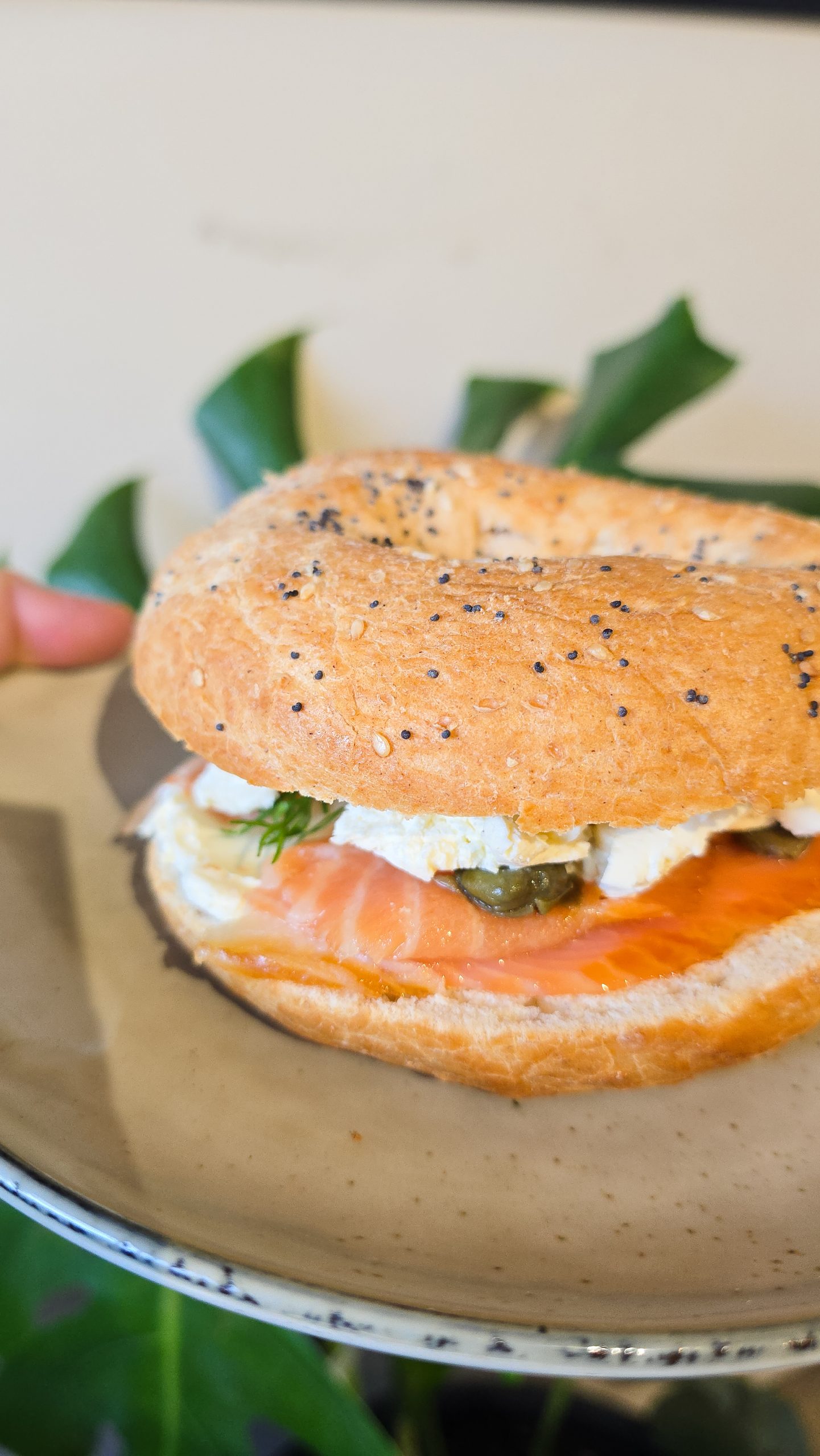 Smoked salmon bagel with cream cheese – cafe lunch option Dwellingup