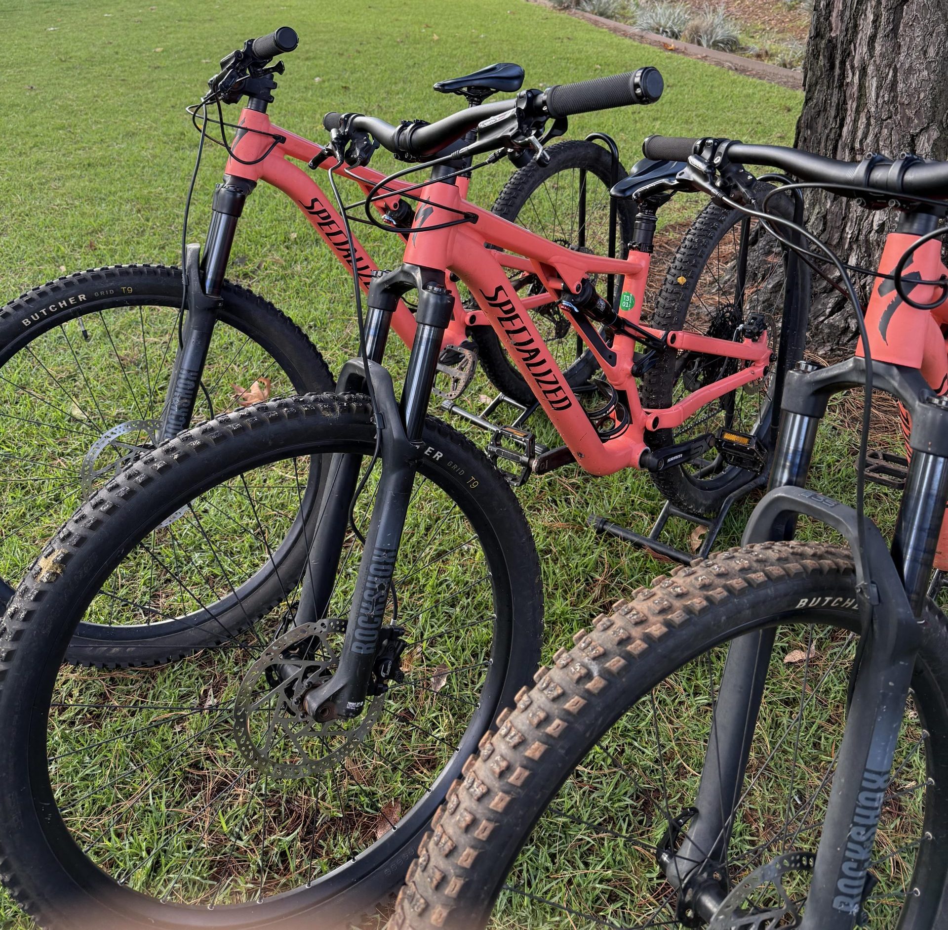 Specialized Stumpjumper dual suspension mountain bike available for hire in Dwellingup