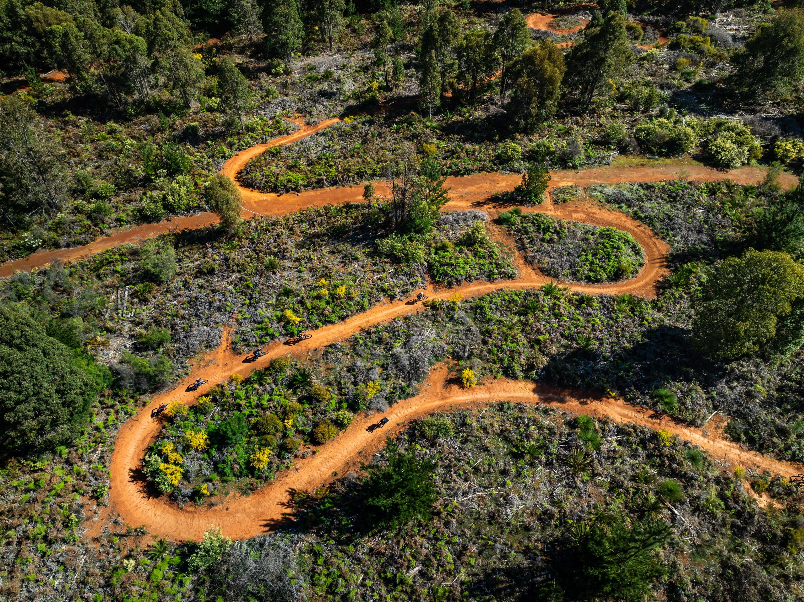 Dwellingup Mountain Bike Trails