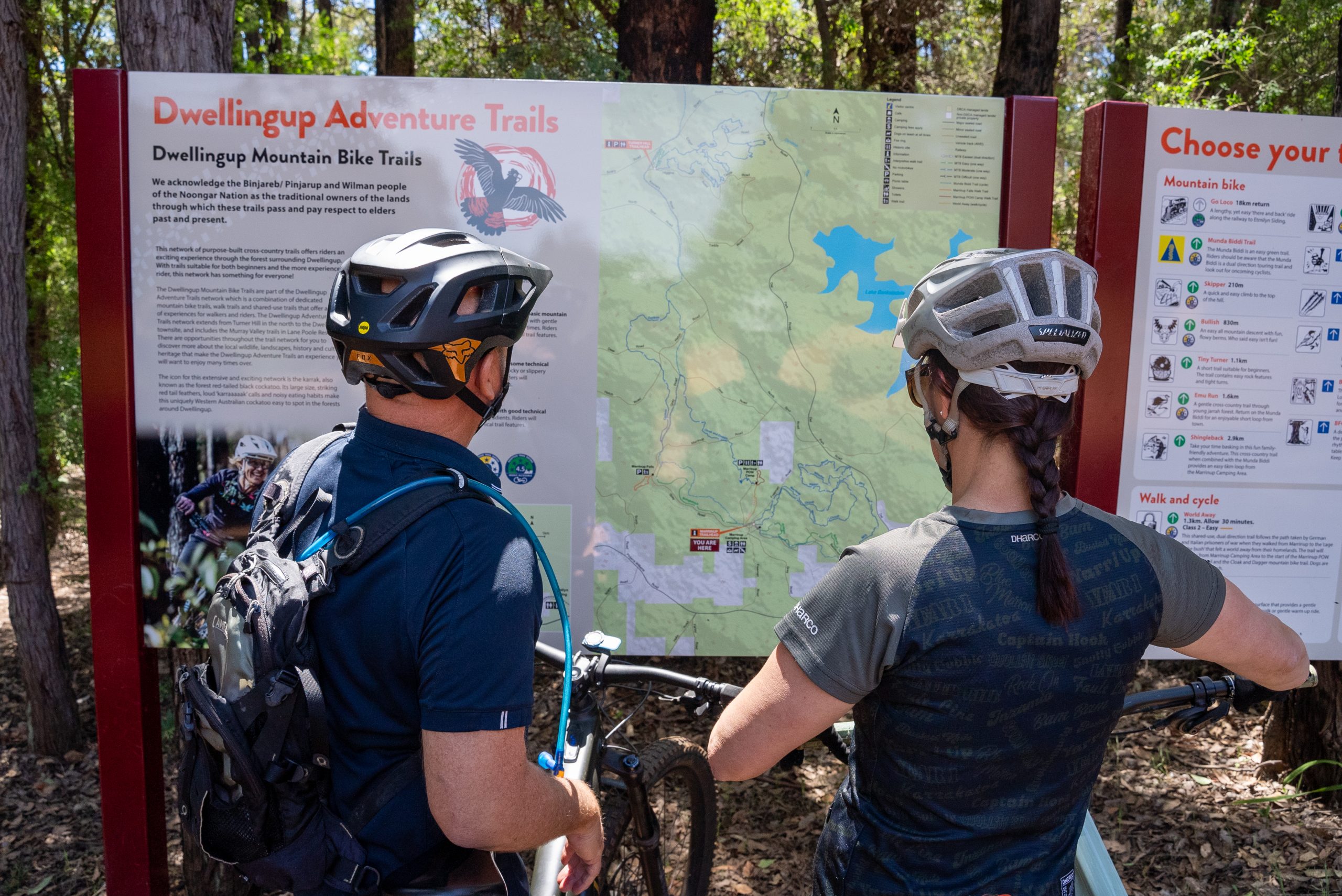 5 Beginner-Friendly Mountain Bike Trails in Dwellingup